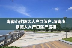海南小孩随大人户口落户,海南小孩随大人户口落户流程
