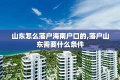 山东怎么落户海南户口的,落户山东需要什么条件
