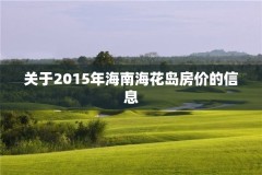 关于2015年海南海花岛房价的信息