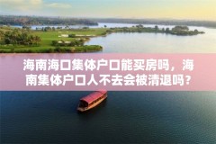 海南海口集体户口能买房吗，海南集体户口人不去会被清退吗？