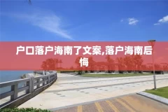 户口落户海南了文案,落户海南后悔