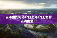 去海南如何落户口上海户口,怎样去海南落户