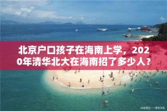 北京户口孩子在海南上学,2020年清华北大在海南招了多少人?