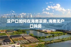 没户口如何在海南买房,海南无户口购房