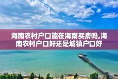 海南农村户口能在海南买房吗,海南农村户口好还是城镇户口好