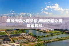 雅居乐清水湾负债,雅居乐清水湾年销售额