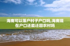 海南可以落户村子户口吗,海南现在户口还能迁回农村吗