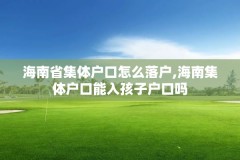 海南省集体户口怎么落户,海南集体户口能入孩子户口吗