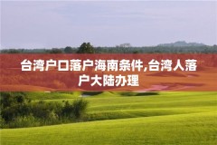 台湾户口落户海南条件,台湾人落户大陆办理