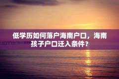 低学历如何落户海南户口,海南孩子户口迁入条件?