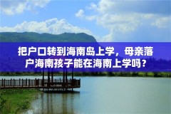 把户口转到海南岛上学,母亲落户海南孩子能在海南上学吗?