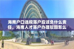 海南户口违规落户应该负什么责任,海南人才落户办理驳回怎么办?