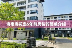 海南海花岛5年前房价的简单介绍