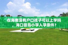 在海南没有户口孩子可以上学吗,海口寰岛小学入学条件?