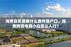 海南自贸港要什么条件落户口,海南跨境电商小白怎么入行?
