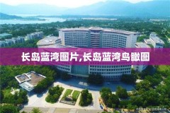 长岛蓝湾图片,长岛蓝湾鸟瞰图