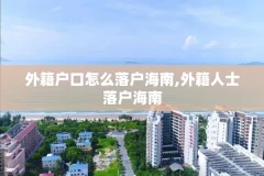 外籍户口怎么落户海南,外籍人士落户海南