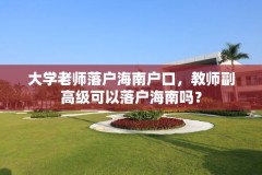 大学老师落户海南户口,教师副高级可以落户海南吗?