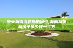 冬天海南海花岛的房价,海南海花岛房子多少钱一平方