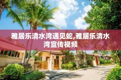 雅居乐清水湾遇见蛇,雅居乐清水湾宣传视频