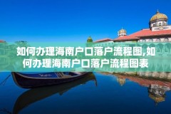 如何办理海南户口落户流程图,如何办理海南户口落户流程图表