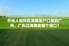 外地人如何在海南落户口落到广州,广东过海南走哪个港口?