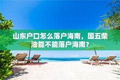 山东户口怎么落户海南,国五柴油能不能落户海南?