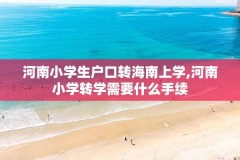 河南小学生户口转海南上学,河南小学转学需要什么手续