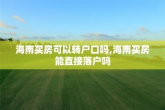 海南买房可以转户口吗,海南买房能直接落户吗