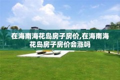 在海南海花岛房子房价,在海南海花岛房子房价会涨吗
