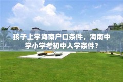 孩子上学海南户口条件,海南中学小学考初中入学条件?