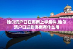 哈尔滨户口在海南上学条件,哈尔滨户口迁到海南有什么用
