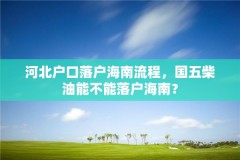 河北户口落户海南流程,国五柴油能不能落户海南?