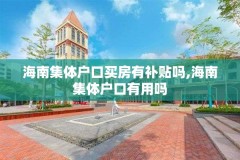 海南集体户口买房有补贴吗,海南集体户口有用吗