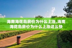 海南海花岛房价为什么上涨,海南海花岛房价为什么上涨这么快
