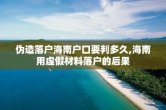 伪造落户海南户口要判多久,海南用虚假材料落户的后果