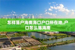 怎样落户海南海口户口所在地,户口怎么落海南