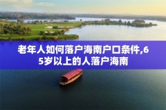 老年人如何落户海南户口条件,65岁以上的人落户海南
