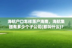 海航户口怎样落户海南,海航集团有多少个子公司(都叫什么)?
