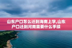 山东户口怎么迁到海南上学,山东户口迁到河南需要什么手续