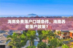 海南免费落户口啥条件,海南养老落户政策?