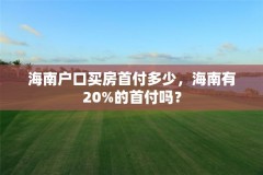海南户口买房首付多少,海南有20%的首付吗?