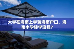 大学在海南上学转海南户口,海南小学转学流程?