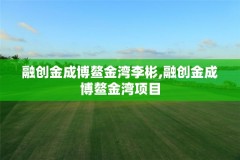 融创金成博鳌金湾李彬,融创金成博鳌金湾项目