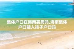 集体户口在海南买房吗,海南集体户口能入孩子户口吗