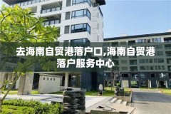 去海南自贸港落户口,海南自贸港落户服务中心