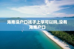 海南没户口孩子上学可以吗,没有海南户口