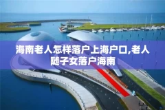 海南老人怎样落户上海户口,老人随子女落户海南