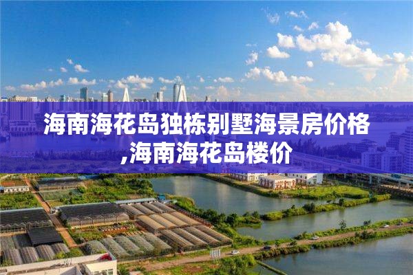 海南海花岛独栋别墅海景房价格,海南海花岛楼价