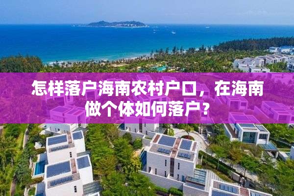 怎样落户海南农村户口，在海南做个体如何落户？